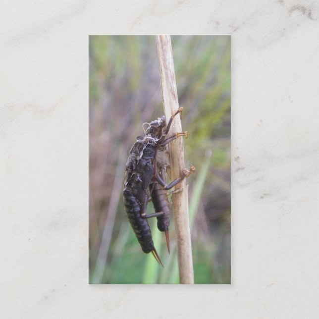 Fly fishing guide card (Front)