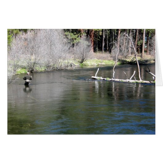 Fly Fishing on the Metolius (Front Horizontal)
