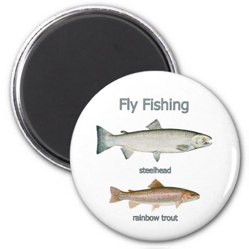 Fly Fishing Rainbow Trout _ Steelhead Magnet