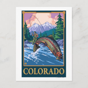 Fly Fishing SceneColorado Postcard