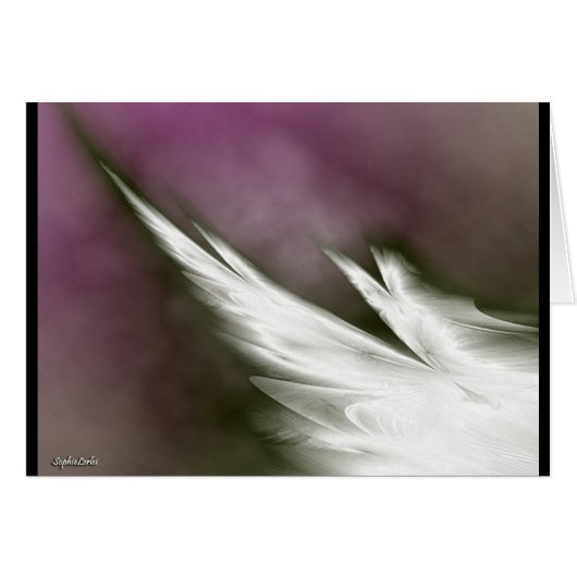 fly for peace! cards (Front Horizontal)