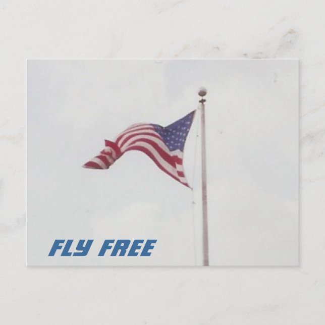 Fly Free USA Flag - postcard (Front)
