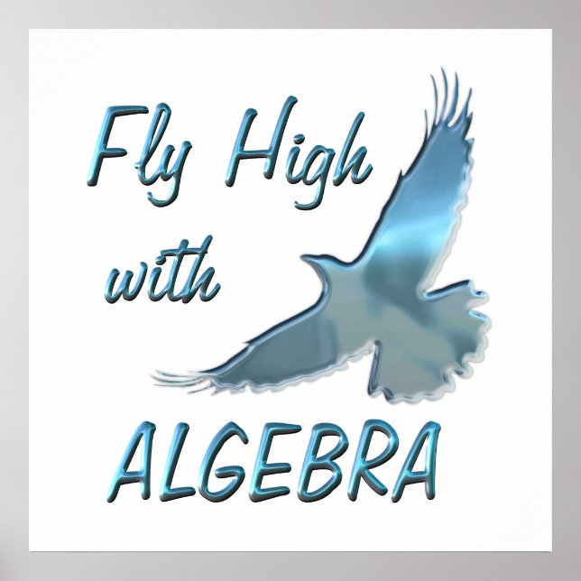 Fly High with Algebra Poster (Front)