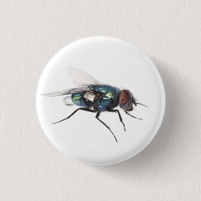 Fly insect button (Front)