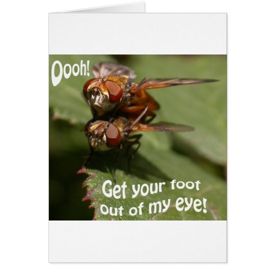 Fly Lurve Card