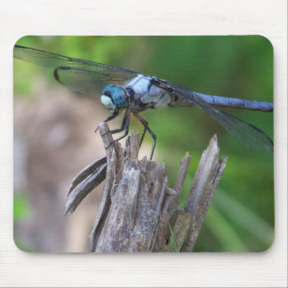 Fly Mouse Pad