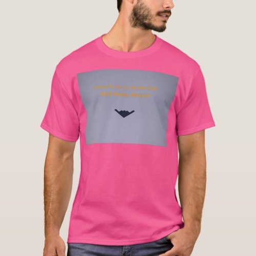 Fly Over State  T_Shirt