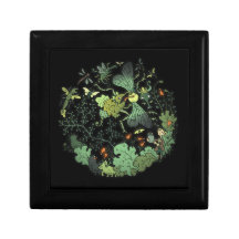 Fly Queen Wooden Jewelry Keepsake Box