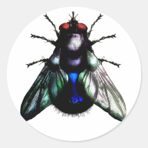 Fly sticker