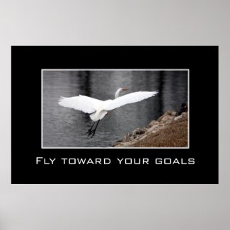 Fly toward your goals print