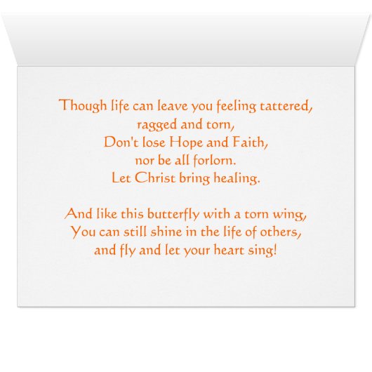 Fly With A Broken Wing, Monach Butterfly (Inside Horizontal (Bottom))