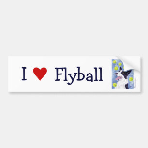 Flyball Border Collie Bumper Sticker