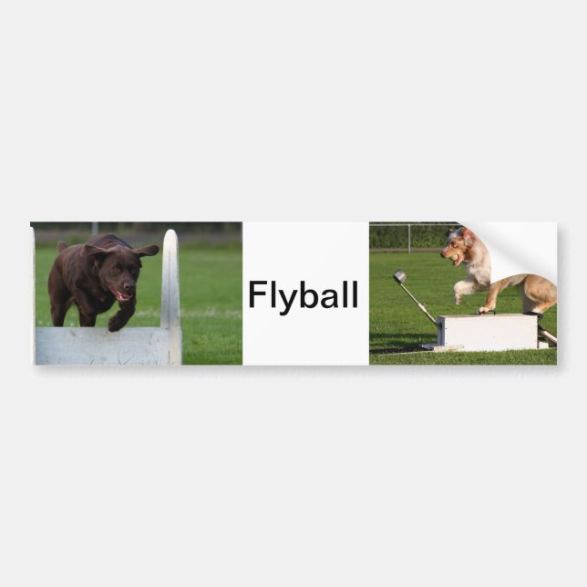 Flyball Bumper Sticker (Front)