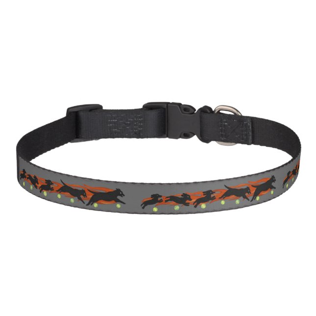 Flyball Dog Sports Collar (Front)