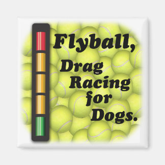Flyball is Drag Racing / Dogs Refrigerator Magnet