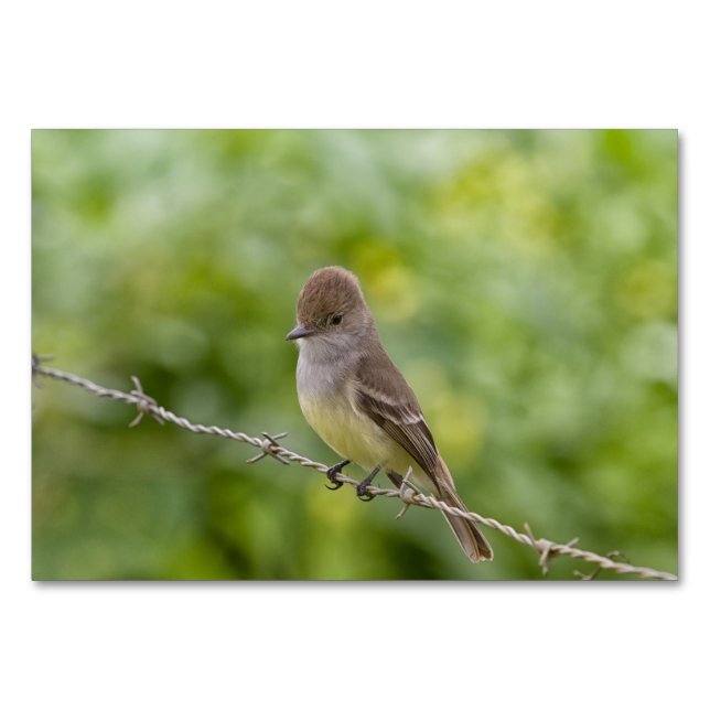Flycatcher Table Number (Back)