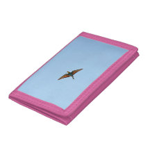 Flycatcher