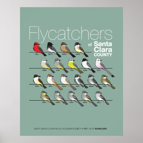 Flycatchers of Santa Clara County Poster