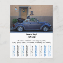 Flyer "Car Seller"