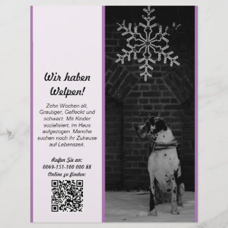 Flyer für Doggenzüchter – personalisierbar