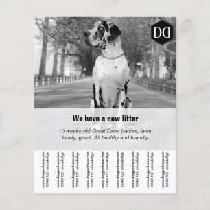 Flyer "Seller"