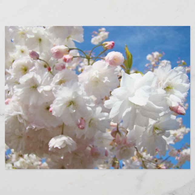 Flyers paper Create Your Own custom Blossoms (Front)