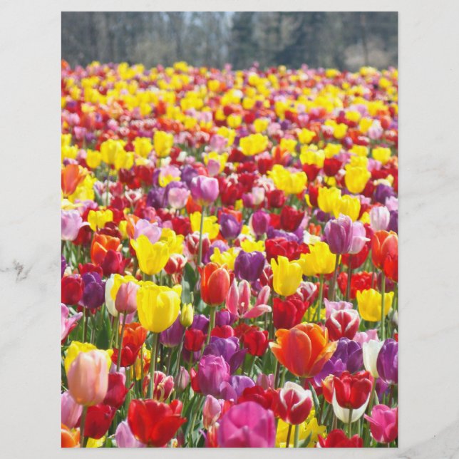 Flyers Paper Spring Theme Tulip Flowers (Front)