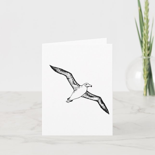 Flying Albatross Illustration Card (Front)