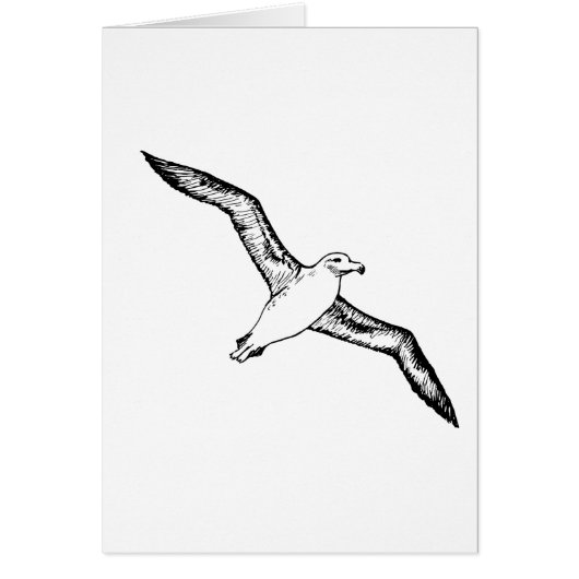 Flying Albatross Illustration Cards (Front)