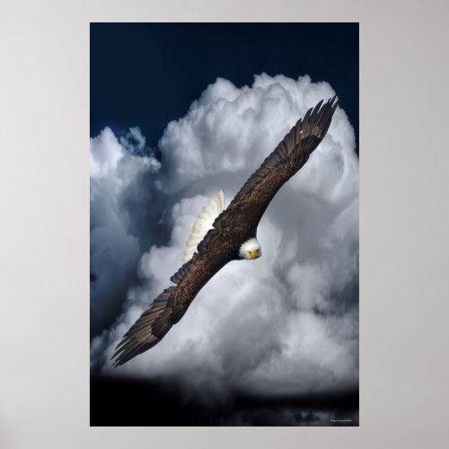 Flying Bald Eagle and Clouds Wildlife Photo Print2 Poster