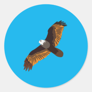 Flying Bald Eagle Bird Classic Round Sticker