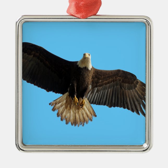 Flying Bald Eagle Bird of Prey Art Metal Ornament (Front)