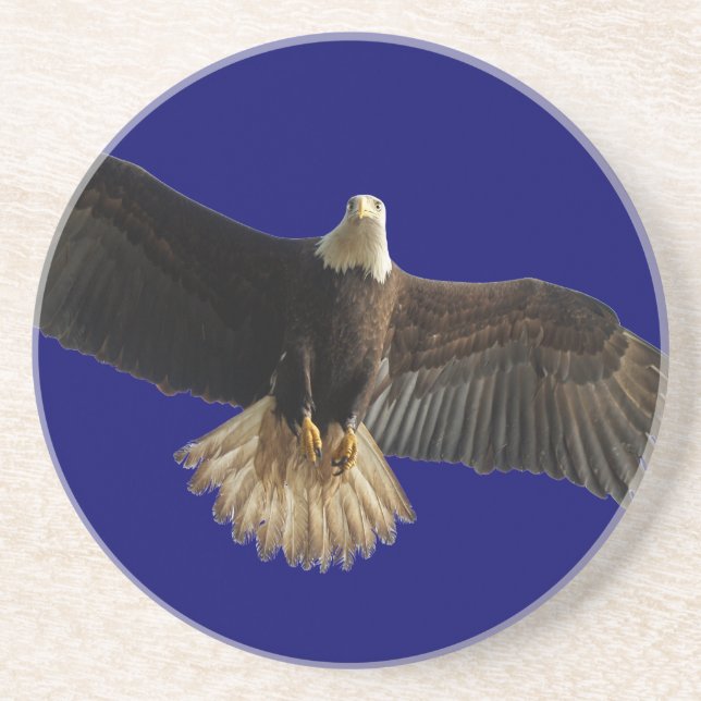 Flying Bald Eagle Bird of Prey Art Sandstone Coaster (Front)