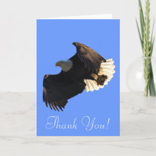 Flying Bald Eagle Free Spirit Thank You Cards