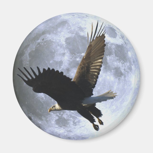Flying BALD EAGLE & FULL MOON Wildlife Magnet (Front)