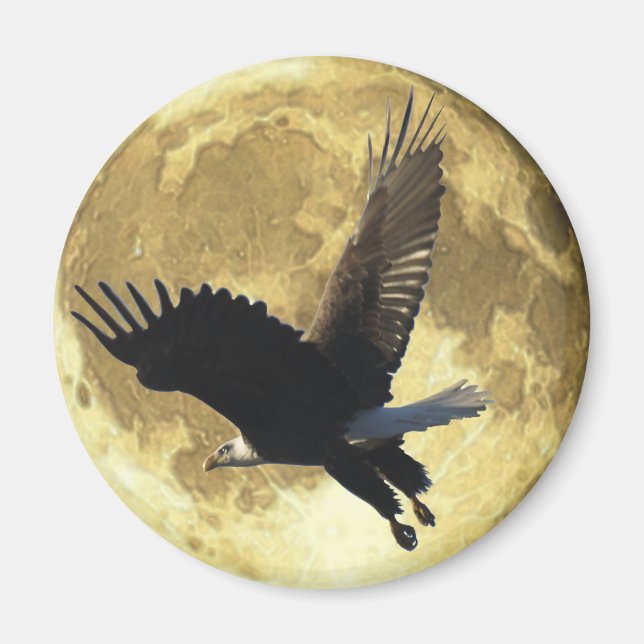 Flying BALD EAGLE & FULL MOON Wildlife Magnet (Front)