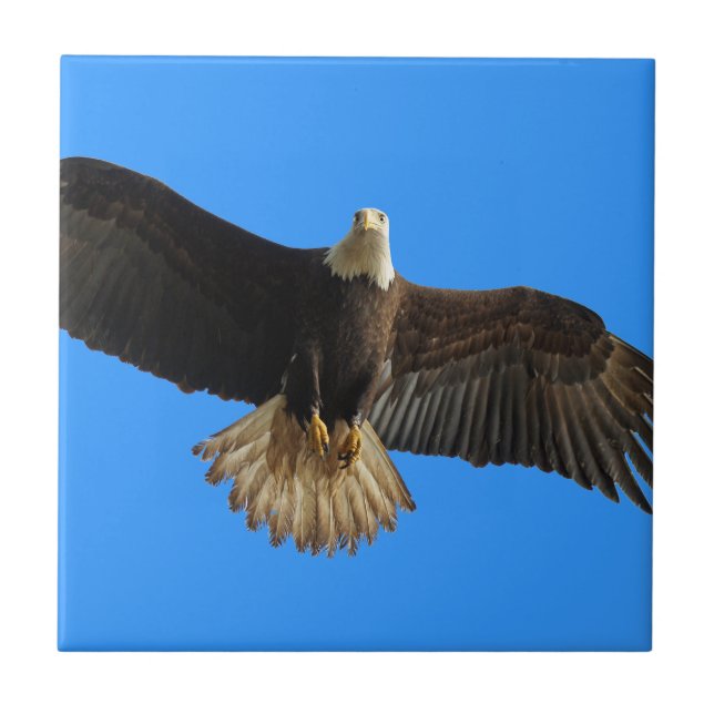 Flying Bald Eagle on Blue Wildlife Gift Ceramic Tile (Front)