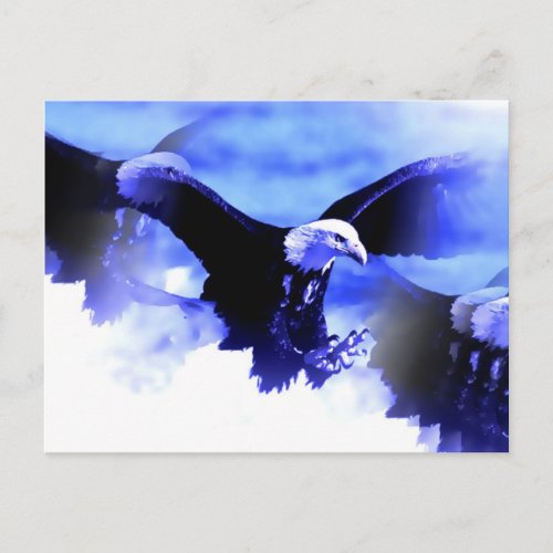 Flying Bald Eagle Postcard