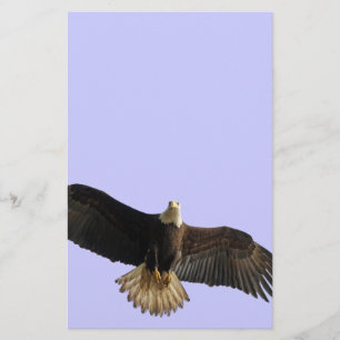Flying Bald Eagle Wildlife Gift Stationery