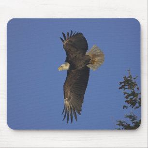 Flying Bald Eagle Wildlife-supporter Art Mouse Pad