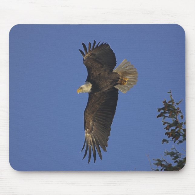 Flying Bald Eagle Wildlife-supporter Art Mouse Pad (Front)