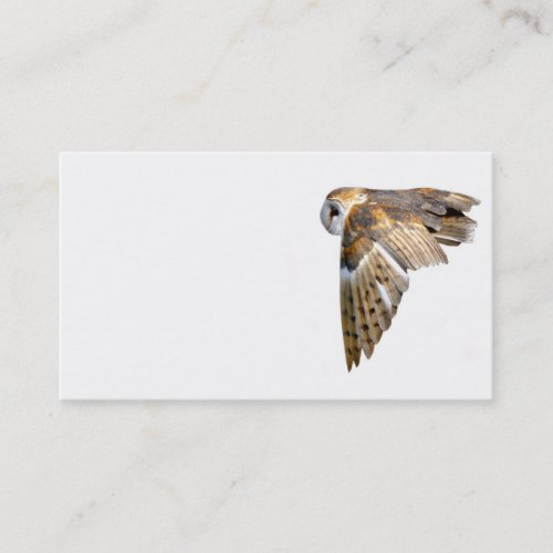 Flying barn owl business card