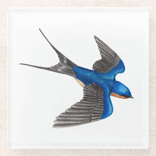 Flying Barn Swallow Glass Coaster