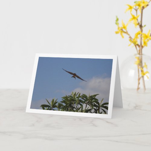 Flying Barn Swallow Portrait Card