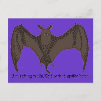 Flying Bat Postcard by artistjandavies at Zazzle