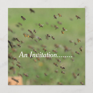 Flying Bees - Personalized Party Invitation