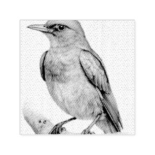 flying bird drawn in pencil self ink stamp