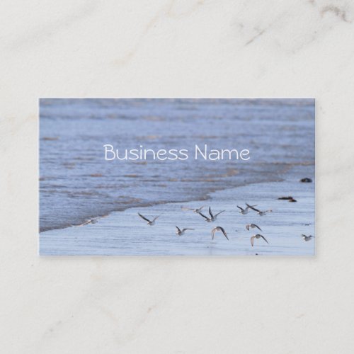 Flying Birds along the Shoreline  Business Card