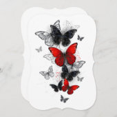 Flying Black and Red Morpho Butterflies (Front/Back)