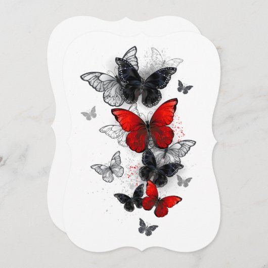 Flying Black and Red Morpho Butterflies (Front/Back)